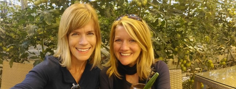 Fridheimar Tomato Farm